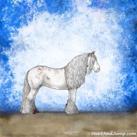 Horse Color:Silver Brown Sabino Rabicano 
