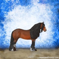 Horse Color:Brown Sabino Rabicano