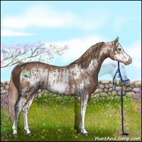 Horse Color:Chestnut Splash Frame and Red Roan Splash Frame
