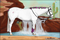 Horse Color:Liver Chestnut Sabino Appaloosa