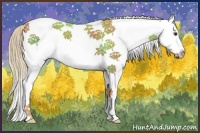Horse Color:White Spotted Chestnut Splash 