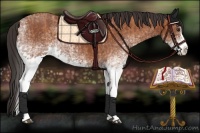 Horse Color:White Spotted Bay Splash  and White Spotted Bay Splash 