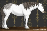 Horse Color:White Spotted Smoky Black Sabino Splash 