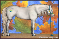 Horse Color:Perlino 