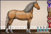 Horse Color:Gray Silver Buckskin Dun Rabicano 