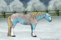Horse Color:Painted White Spotted Silver Grullo Ice