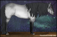 Horse Color:Bay Chinchilla 