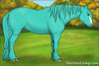 Horse Color:Watercolor Black 