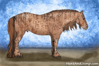 Horse Color:Brown  and Gold Champagne 