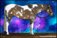 Horse Color:White Spotted Chocolate Palomino Tobiano