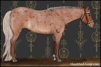 Horse Color:Chocolate Silver Bay Roan Rabicano