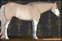 Horse Color:Chocolate Silver Bay Dun Sabino Rabicano 