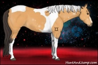 Horse Color:Buckskin Sabino Tobiano 