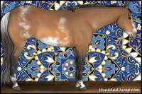 Horse Color:White Spotted Buckskin Splash Frame 