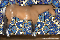 Horse Color:White Spotted Buckskin