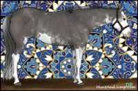 Horse Color:Grullo Sabino Splash Rabicano 