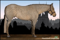 Horse Color:Chocolate Palomino Roan