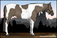 Horse Color:Smoky Grullo Tobiano