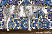 Horse Color:White Spotted Silver Brown