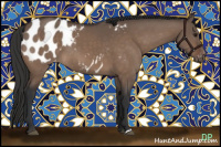 Horse Color:Brown Dun Near Leopard 