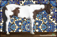 Horse Color:Brown Tobiano Frame 