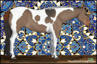 Horse Color:Liver Red Dun Tobiano