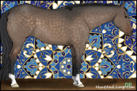 Horse Color:Brown Dun Brindle 