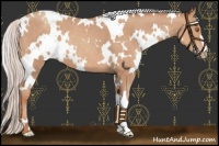Horse Color:White Spotted Silver Classic Champagne 