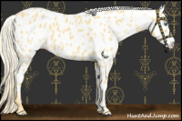 Horse Color:Gold Cream Champagne Near Leopard 