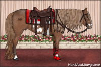 Horse Color:Liver Chestnut Frame 