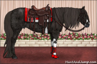 Horse Color:Liver Chestnut Ice 