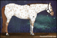 Horse Color:Red Dun Tobiano Near Leopard 