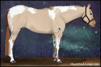 Horse Color:Red Dun Tobiano