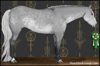 Horse Color:Silver Grullo Chinchilla Sabino 