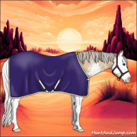 Horse Color:Silver Bay Dun Sabino Splash 