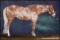 Horse Color:Silver Bay Ice Sabino 