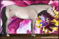 Horse Color:Platinum Sable Champagne
