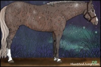 Horse Color:Silver Brown Ice Sabino 