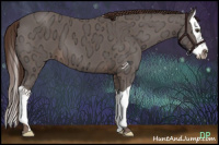 Horse Color:Liver Chestnut Ice Splash 