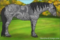 Horse Color:Black Ice 