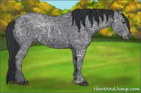 Horse Color:Black Ice 