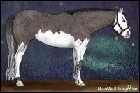 Horse Color:Brown Ice Sabino Splash