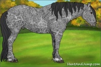 Horse Color:Black Ice 