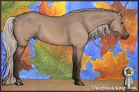 Horse Color:Silver Bay Dun Mushroom 