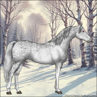 Horse Color:White Spotted Silver Grullo Chinchilla Ice Tobiano 
