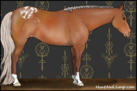 Horse Color:Chocolate Silver Bay Appaloosa 