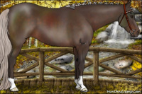 Horse Color:Silver Brown 