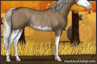 Horse Color:Silver Smoky Grullo Sabino Splash Rabicano 