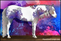 Horse Color:Nacre Silver Black Splash Tobiano 