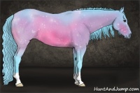 Horse Color:Watercolor Bay 